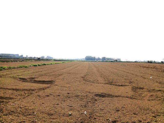 桃園新屋農地-1