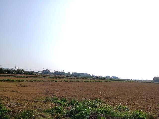 桃園新屋農地-5