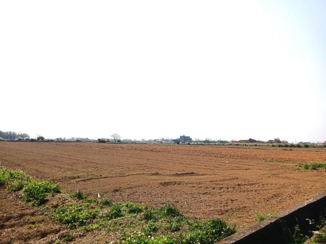 桃園新屋農地-7