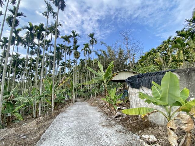 南中寮都計內農地2分3