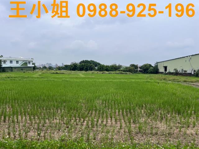 桃園桃園區農地-2