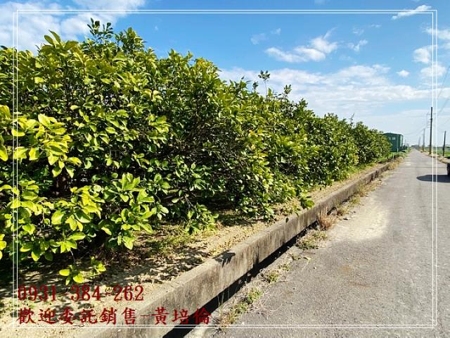 台南培倫房屋土地王