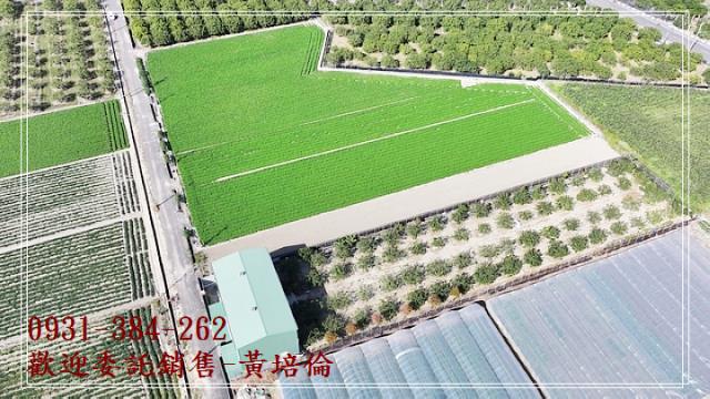 麻豆區南寮段開心農場