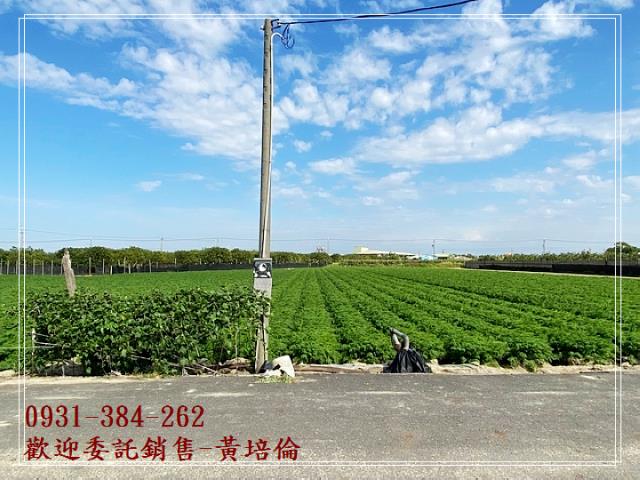 麻豆區南寮段開心農場