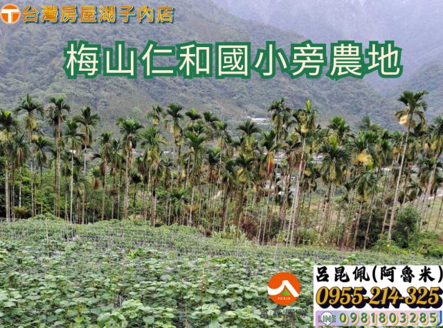 嘉義農地-0