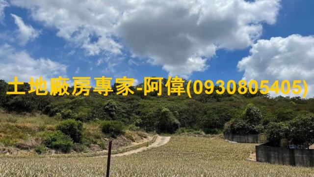 高雄大樹農地-0