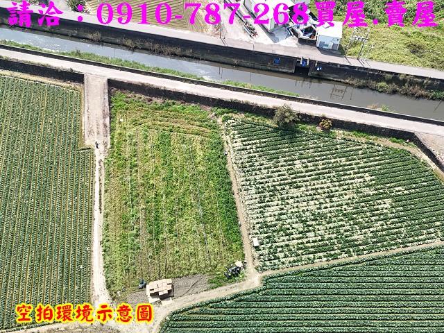 新市農地-3