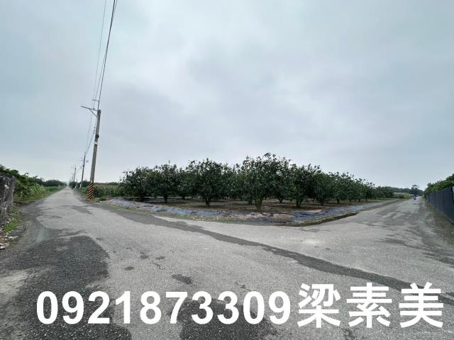 麻豆農地-10