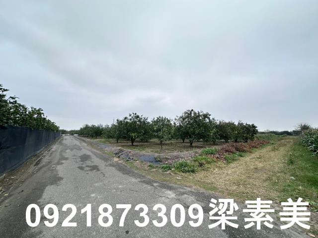 麻豆農地-2