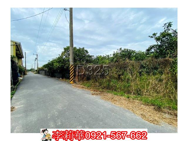 台南麻豆農地-4