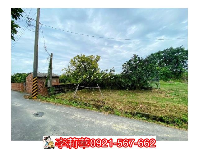 台南麻豆農地-5