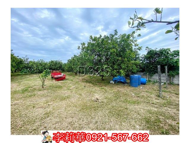 台南麻豆農地-6