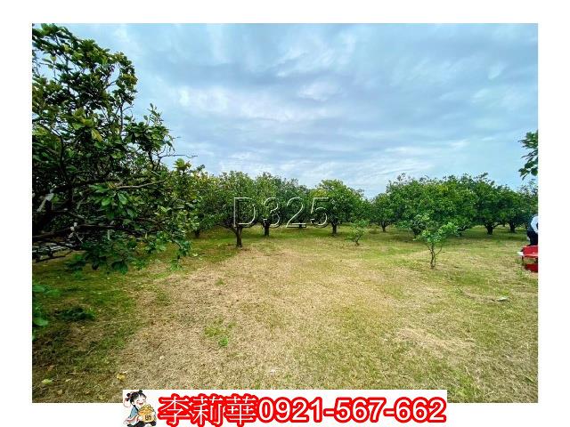 台南麻豆農地-7