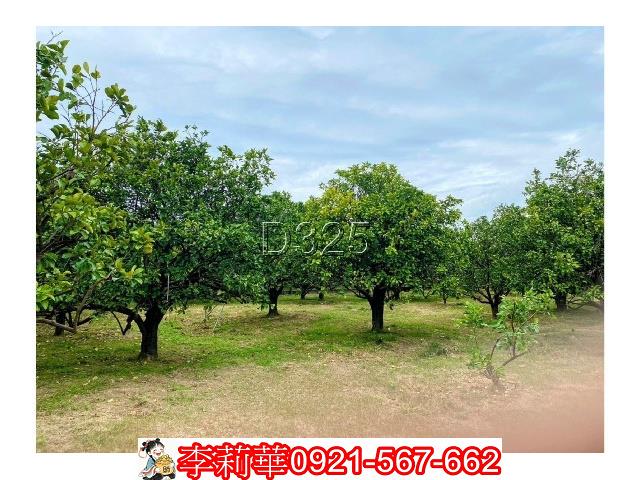 台南麻豆農地-8