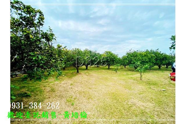 台南培倫房屋土地王