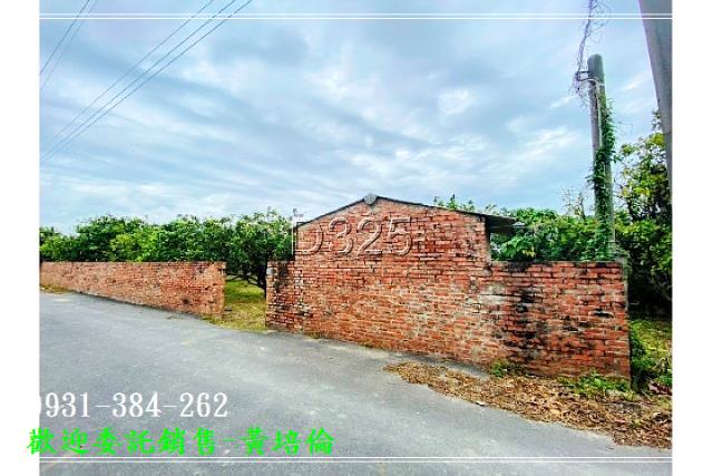 黎明中學柚子樹農地