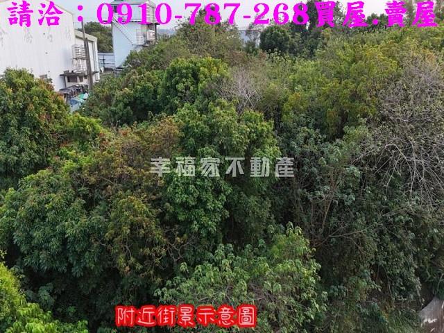 台南歸仁農地-11