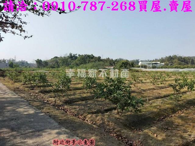 燕巢農地-13