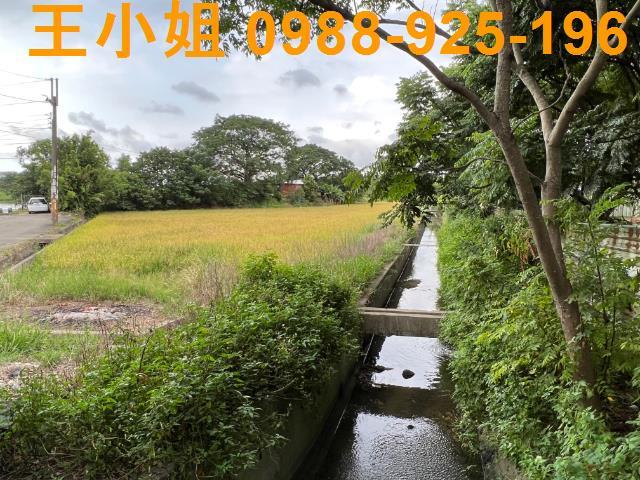 桃園中壢農地-3