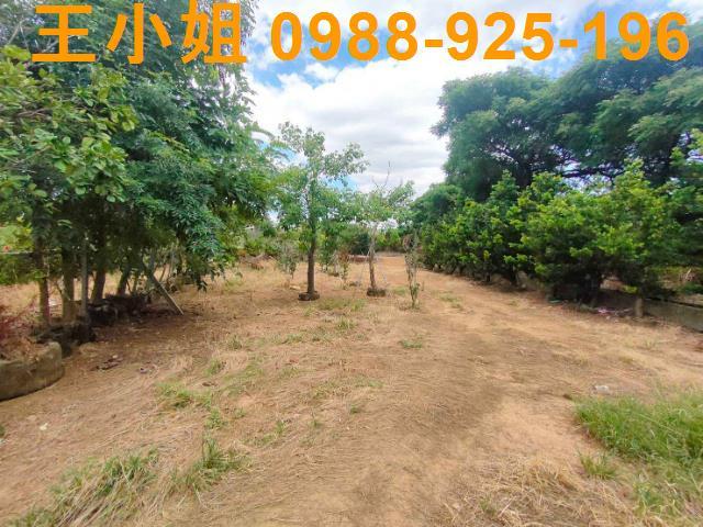 八德交流道旁農建