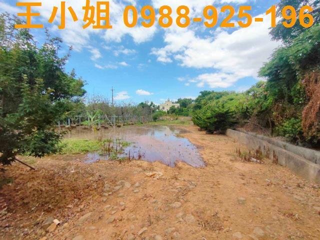 桃園大園農地-1