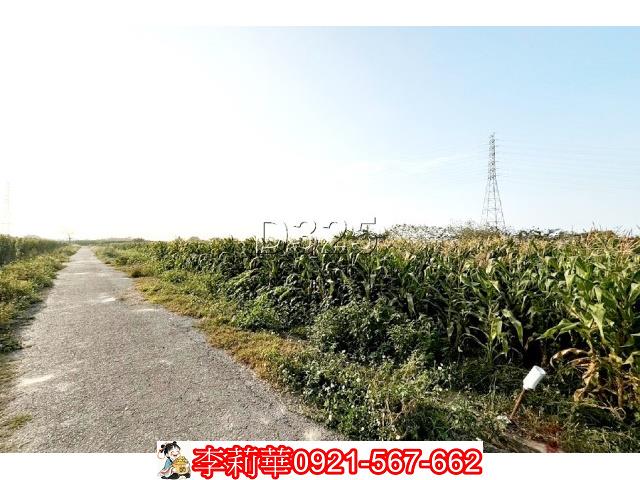 台南新營農地-1