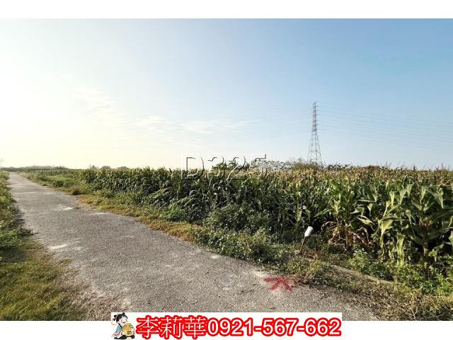 台南新營農地-2