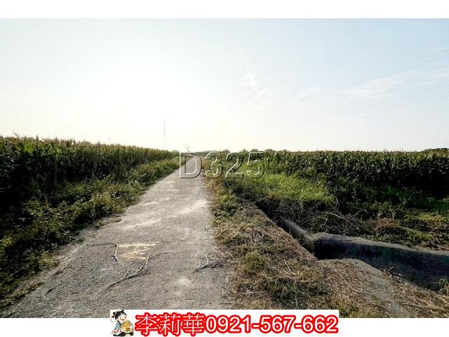 台南新營農地-3