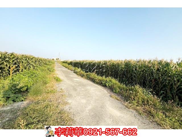 台南新營農地-4