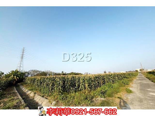 台南新營農地-5