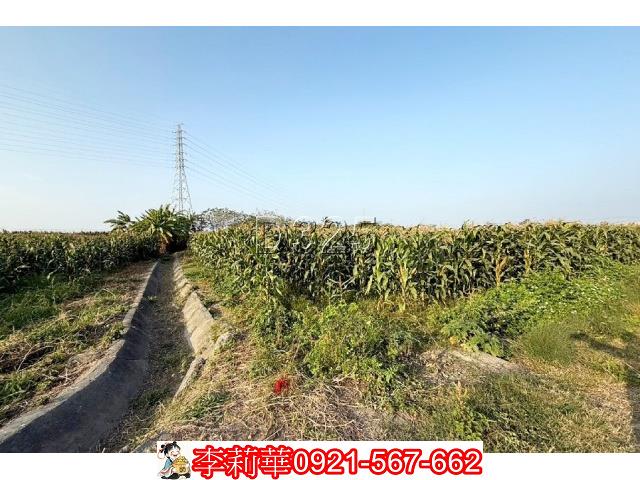 台南新營農地-6