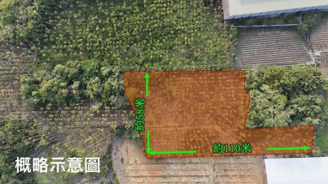 南投名間農地-2