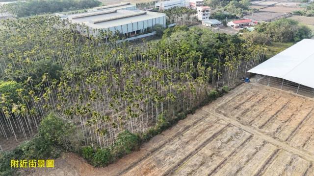 南投名間農地-4