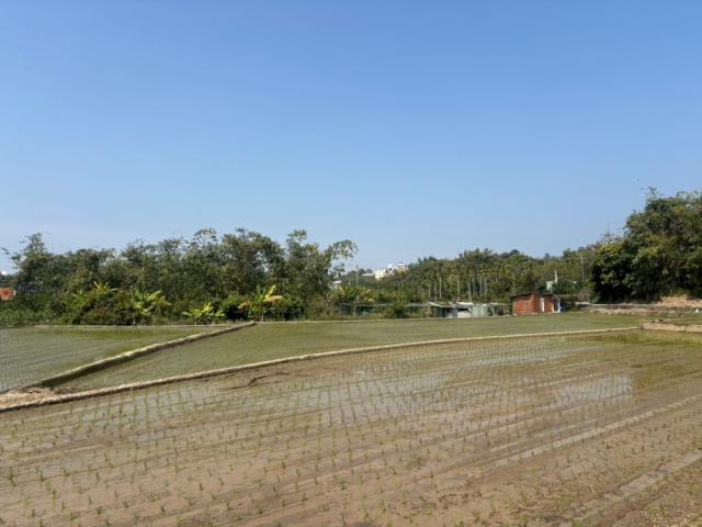 南投草屯農地-2