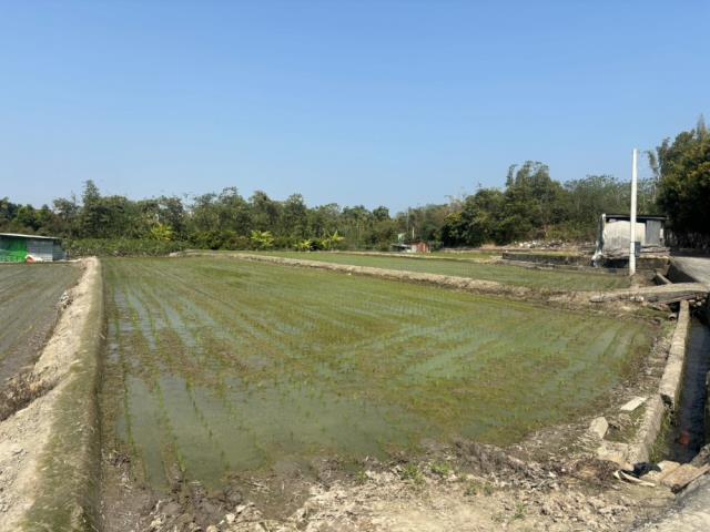 南投草屯農地-4