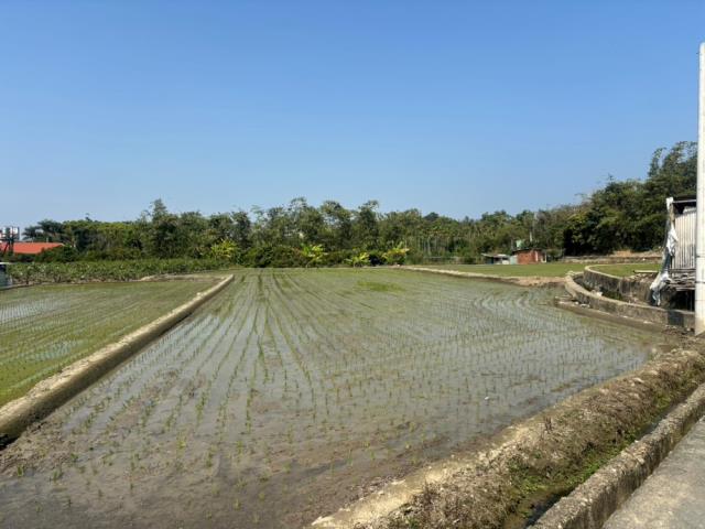 南投草屯農地-5