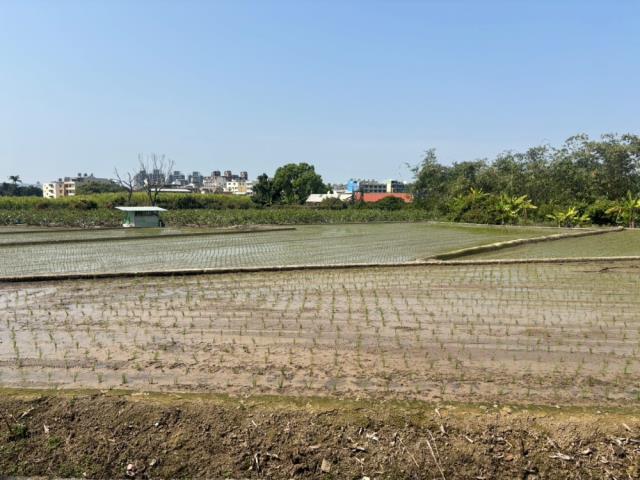 南投草屯農地-8
