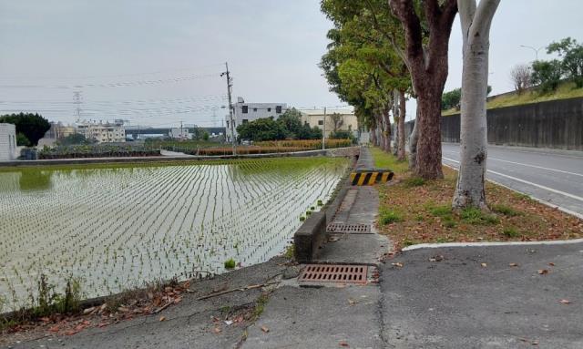 台中霧峰農地-1