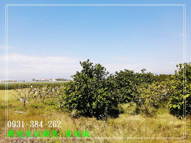 角帶圍面寬雙面路農地