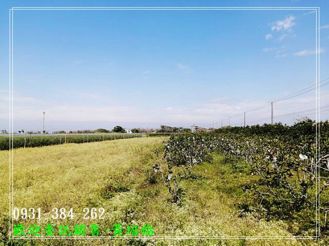 台南培倫房屋土地王