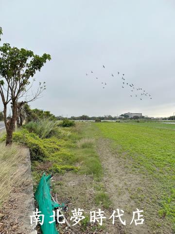 太保農地-7
