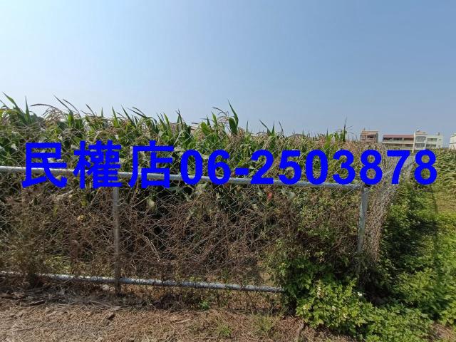台南新營農地-3