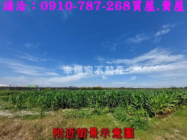 新市農地-6