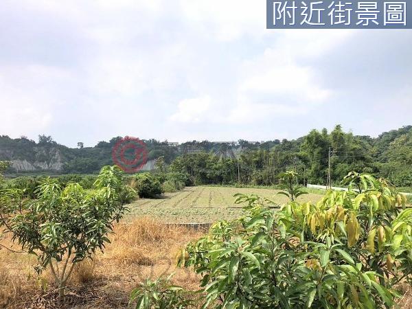 左鎮農地-0