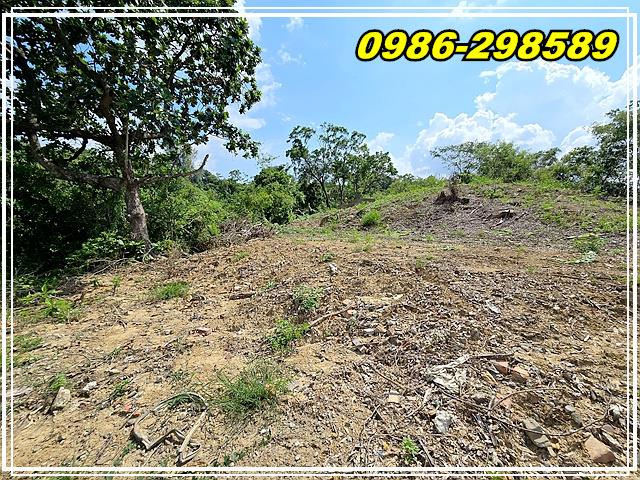 台南玉井農地-9