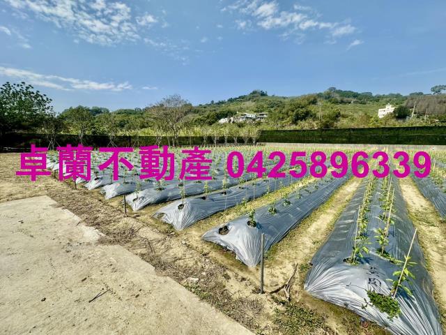 苗栗卓蘭農地-1