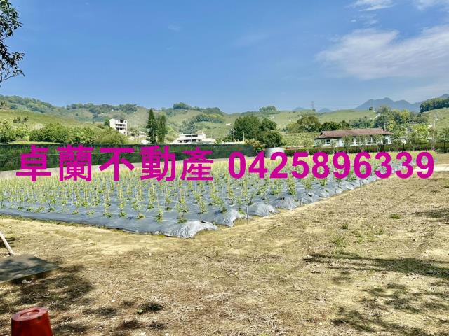 苗栗卓蘭農地-7
