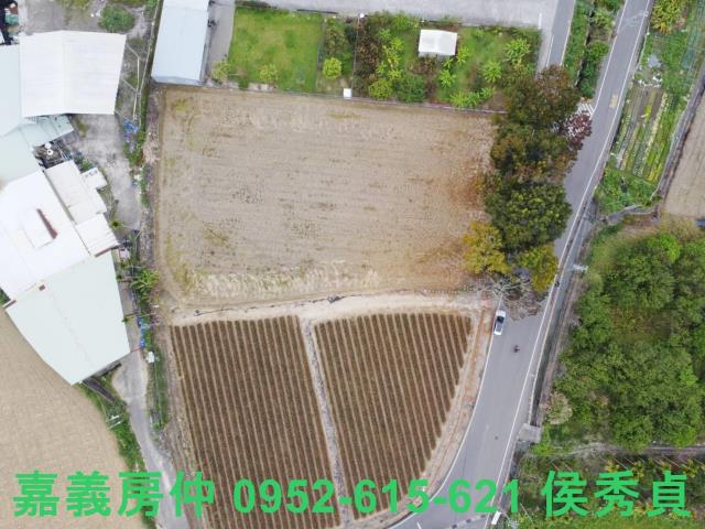 中埔農地-8