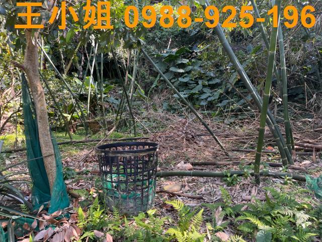 桃園大溪農地-2