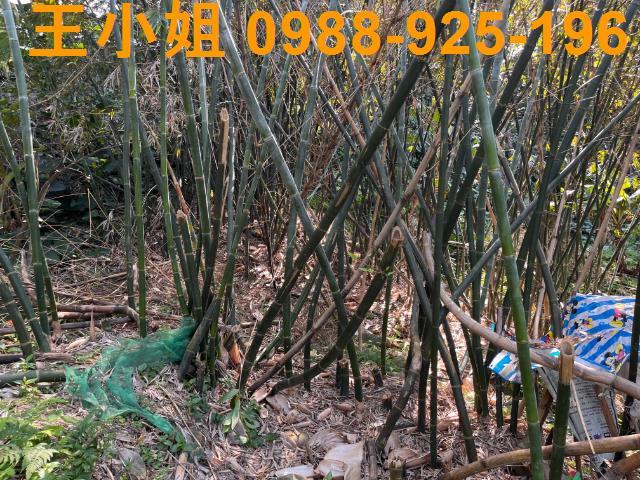 桃園大溪農地-6